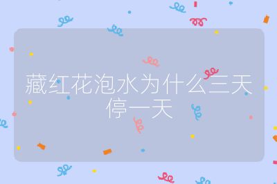 藏红花泡水为什么三天停一天
