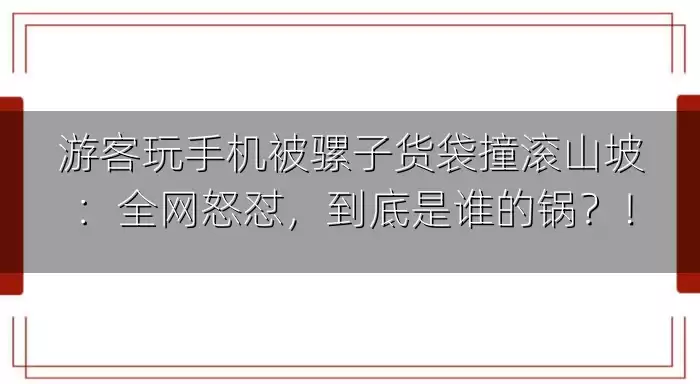 游客玩手机被骡子货袋撞滚山坡：全网怒怼，到底是谁的锅？！