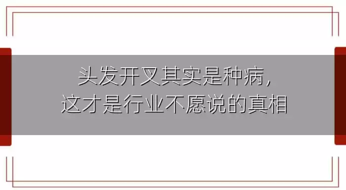 头发开叉其实是种病，这才是行业不愿说的真相