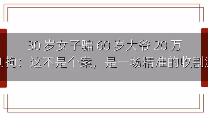 30 岁女子骗 60 岁大爷 20 万被刑拘：这不是个案，是一场精准的收割游戏