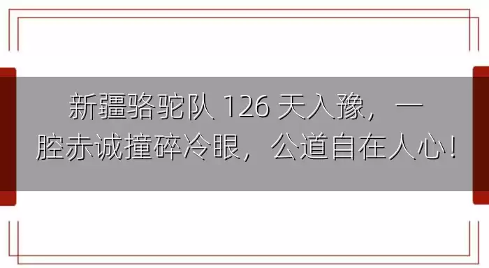 新疆骆驼队 126 天入豫，一腔赤诚撞碎冷眼，公道自在人心！