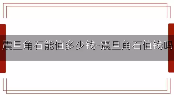 震旦角石能值多少钱-震旦角石值钱吗