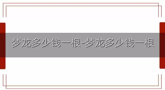 梦龙多少钱一根-梦龙多少钱一根