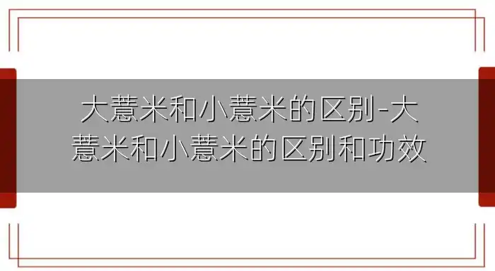 大薏米和小薏米的区别-大薏米和小薏米的区别和功效