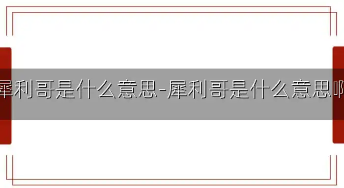 犀利哥是什么意思-犀利哥是什么意思啊