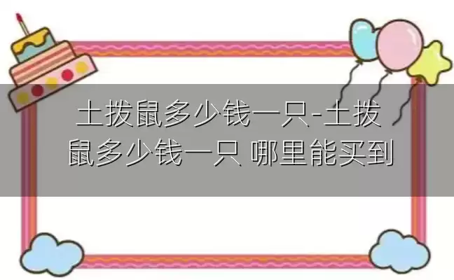 土拨鼠多少钱一只-土拨鼠多少钱一只 哪里能买到