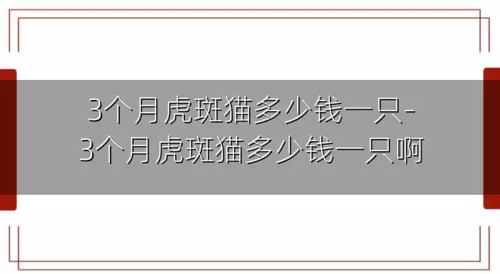 3个月虎斑猫多少钱一只-3个月虎斑猫多少钱一只啊