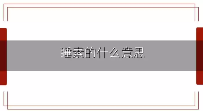 睡素的什么意思
