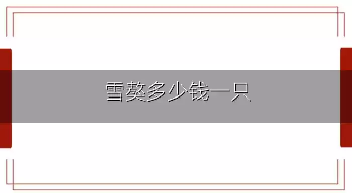 雪獒多少钱一只